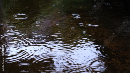 Raindrops falling on a body of water. The water is dark and the raindrops are small