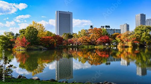 中島公園の秋