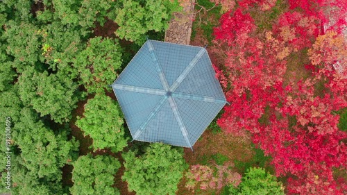 Wallpaper Mural Aerial Gazebo in Autumn Forest with Red and Green Foliage Torontodigital.ca