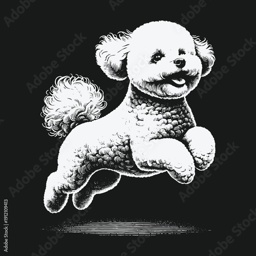 Joyful Bichon Frise Leaping with Happiness in Black and White.