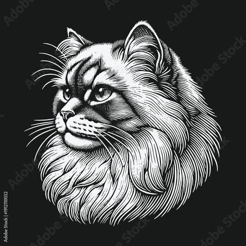 Detailed Line Art Portrait of a Majestic Long-Haired Cat.