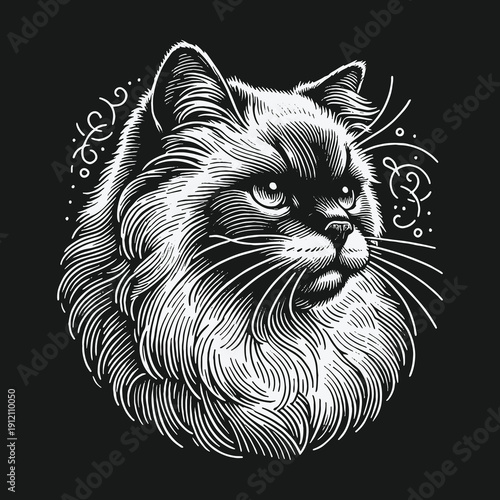Detailed Line Art Portrait of a Majestic Fluffy Cat.