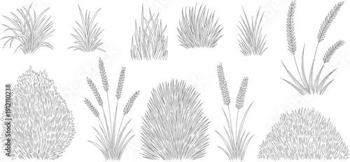Collection of grass, bushes, shrubs and cattails, cad drawings vector illustration