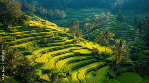 A lush, green rice terrace landscape with palm trees, a clear blue sky, and lush greenery in the background.