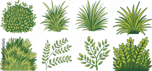 collection of green grass clumps and bushes designed for landscaping or garden design.  various shapes  tufts of grass to lush shrubs, suitable for public parks or private gardens. vector
