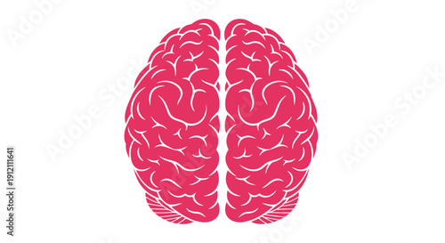 Pink brain illustration on white background representing cognitive functions