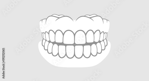 Dental illustration detailed outline of teeth on a neutral background