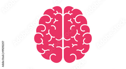 Stylized brain graphic on white background for medical and educational uses
