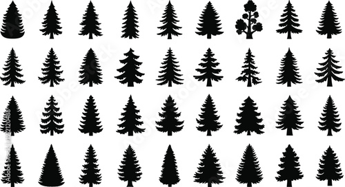 Black pine trees silhouettes, collection of evergreen fir forest timber, spruce cedar coniferous woodland shapes, nature outdoor park landscape elements
