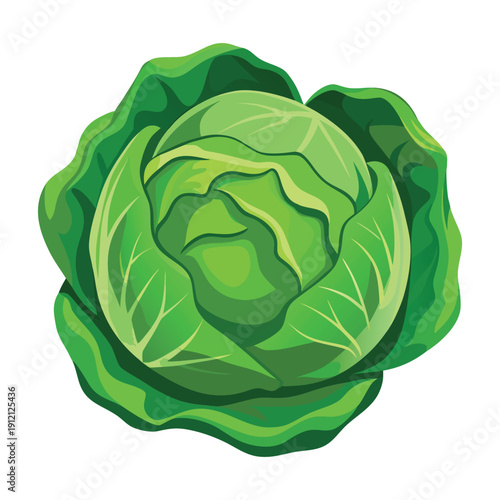 Fresh vegetable cabbage vector flat design isolated on white background