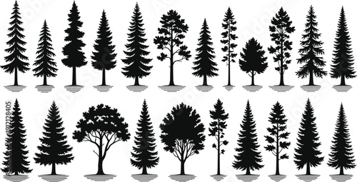 Tree silhouette vector set, twenty-four black botanical shapes with shadows featuring coniferous and deciduous species