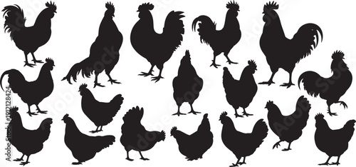 Chicken and hen silhouettes. roosters hens and baby chicks in various poses including standing walking and sitting, vector
