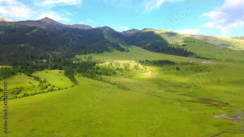Wallpaper Mural Alpine Valley with Mountains and Forest Landscape Torontodigital.ca