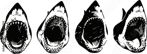Four black and white detailed shark head illustrations showing open jaws with sharp teeth from different angles
