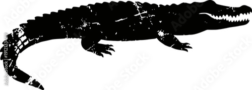 black silhouette of crocodile with detailed body and sharp teeth isolated on white background