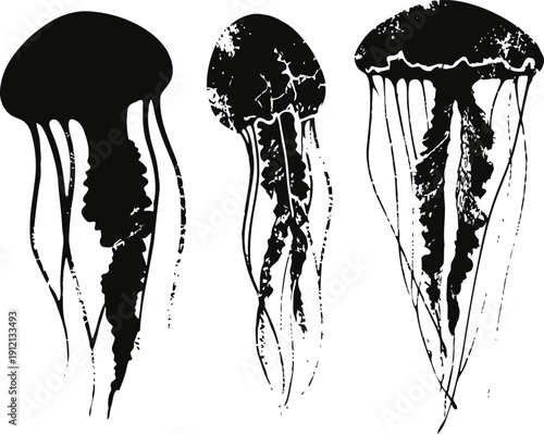 Silhouettes of three jellyfish with long tentacles swimming underwater in black and white