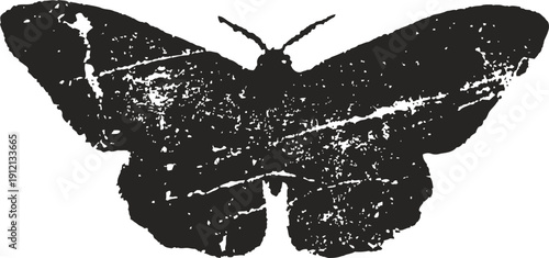 black butterfly silhouette isolated on white background, insect wings spread wide