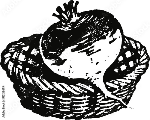 Turnip root vegetable illustration in a woven basket, vintage black ink drawing food design
