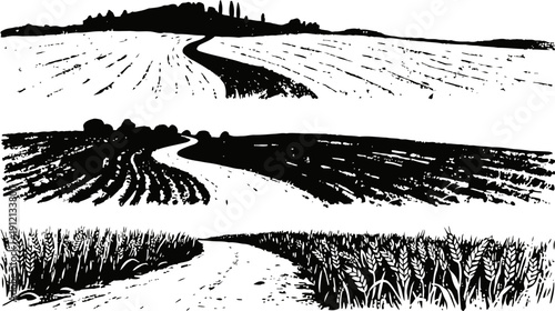 Rural farmland fields with winding dirt roads and crop rows in black and white illustration
