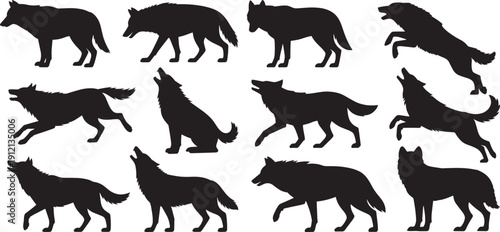 Wolf silhouette set, various poses of wolves, such as walking, running, and howling. isolated on white background vector illustration