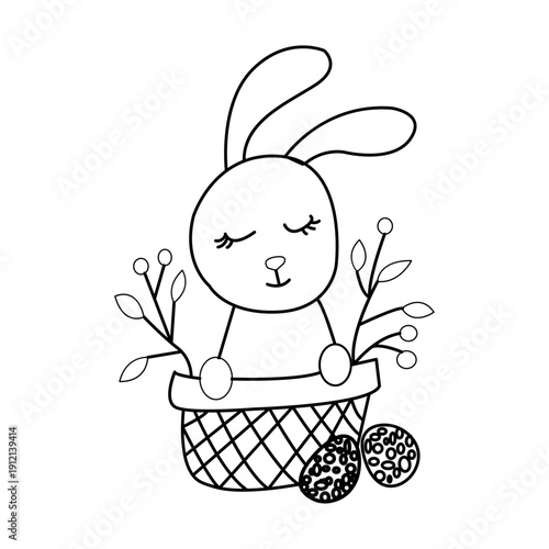 A sweet cat stand up a basket