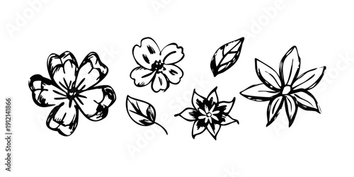 A delicate collection of various flower illustrations in black and white Vector