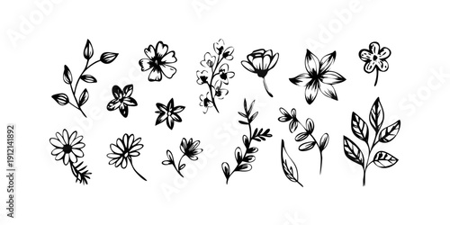 A collection of intricate and delicate line art floral illustrations Vector