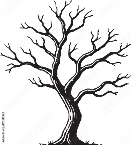 Silhouette of bare tree in winter on transparent background, leafless branches reaching upwards, stark nature scene, autumnal or dormant symbol