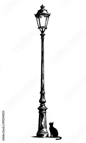 Artistic Black and White Illustration of an Antique Street Lamp with a Cat Sitting Beneath