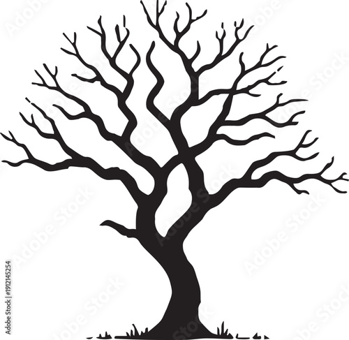 Dead tree silhouette with leafless branches black and white winter oak or elm plant for spooky halloween or nature backdrop art