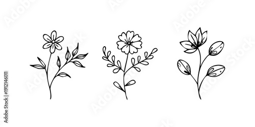 Three distinct line art illustrations of flowers with delicate petals and leaves Vector