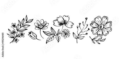 A delicate arrangement of black and white floral illustrations Vector