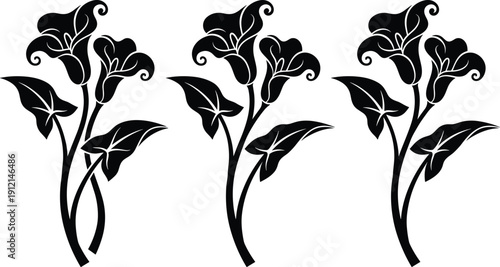 Floral decorative vector illustration set, black and white ornamental design with calla lily flowers, curled tips, veined leaves, and stems