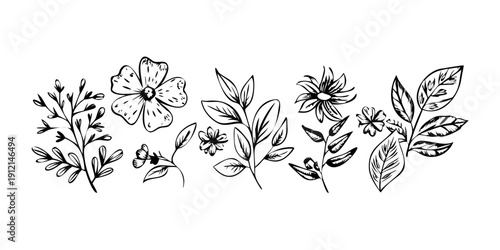 A delicate and intricate floral arrangement featuring a variety of flowers and leaves Vector