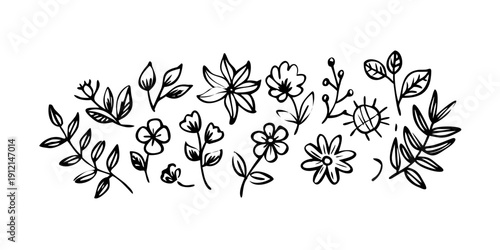 A beautiful and intricate floral arrangement with various types of flowers and leaves Vector
