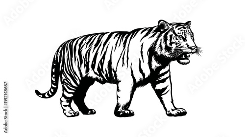 Stylized black and white illustration of a powerful tiger walking in profile, a versatile graphic vector design element