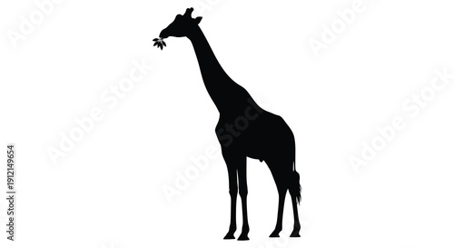 A striking black silhouette of a giraffe stands in profile delicately holding a flower in its mouth high quality