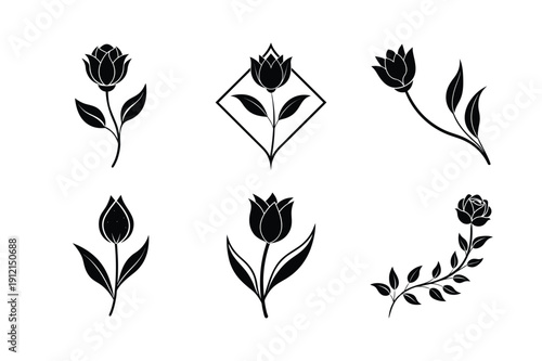 Elegant Tulip Flower Silhouette Art

