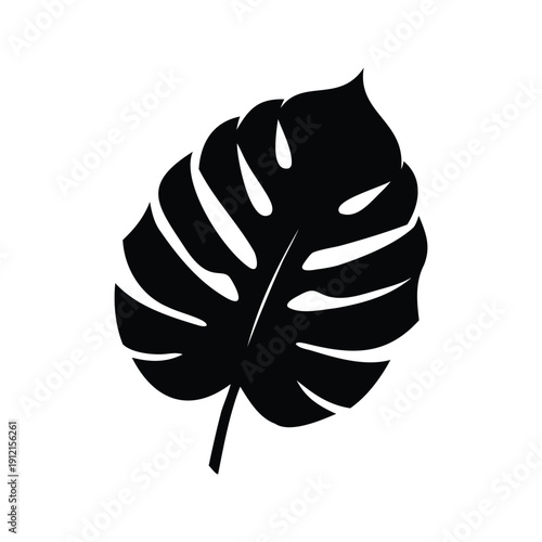 tropical leaf silhouette vector illustration, Monstera leaf with prominent veins and unique cutouts, silhouette vector illustration