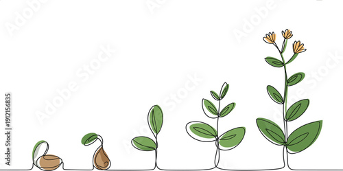 Minimalist continuous single line drawing of plant growth stages from seed and sprout to flowering plant isolated on white background for eco branding and modern nature art