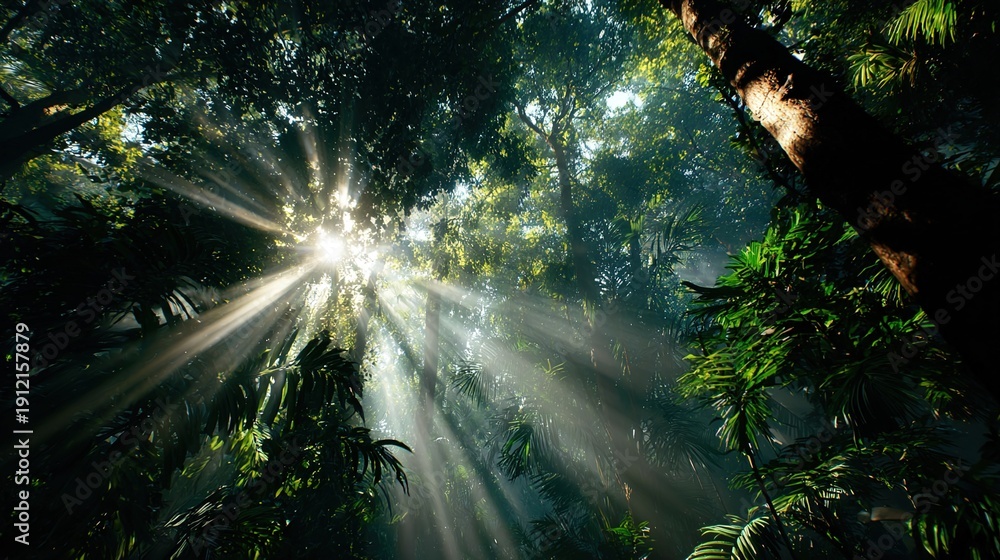 Fototapeta premium Sunlit Canopy: A majestic view of a verdant forest, with sunlight piercing through the dense foliage to create a stunning display of light and shadow, highlighting the vibrant ecosystem.