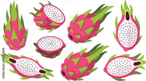 Set of fresh dragon fruit pitaya vector illustrations featuring whole fruits half slices and quarters isolated background for tropical food and healthy eating design