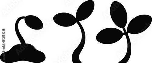 Minimalist black silhouette set of young plant sprouts showing stages of germinating and growing from seed to leaf isolated on white background for eco branding