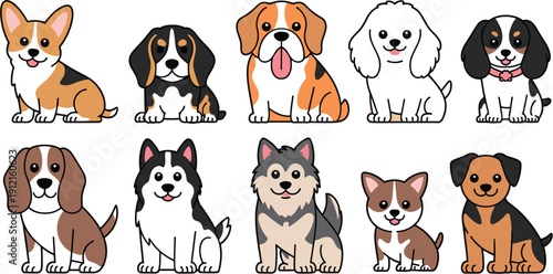 set of ten cute front-facing dog breed characters, adorable puppy vector illustrations including Corgi, Beagle, Husky, and Poodle for pet shopset of ten 