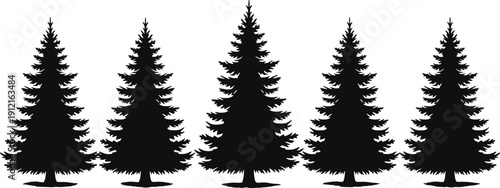Evergreen tree silhouettes, pine fir trees, forest row, conical shapes, layered branches, black white artwork, nature landscape design - flat vector illustration