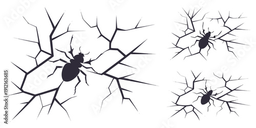 A group of spiders on cracked surfaces Vector