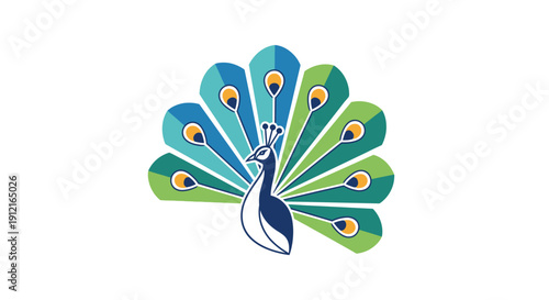 
Colorful Peacock Bird Illustration With Expanded Feather Tail And Decorative Flat Nature Vector Design
