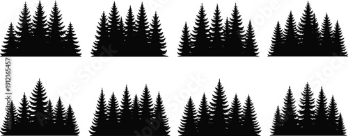 Coniferous tree clusters, evergreen forest silhouettes, pine fir trees, sharp triangular outlines, black white artwork, nature landscape design - flat vector illustration
