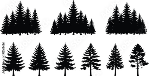 Coniferous tree silhouette vector illustration, forest clusters and individual trees with varied branch patterns - flat vector illustration
