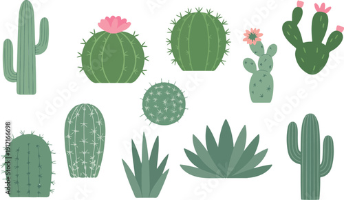 Cute Cartoon Succulents and Cactus Set  Blooming Aloe, Stone Rose and Desert Flowers Vector Clipart